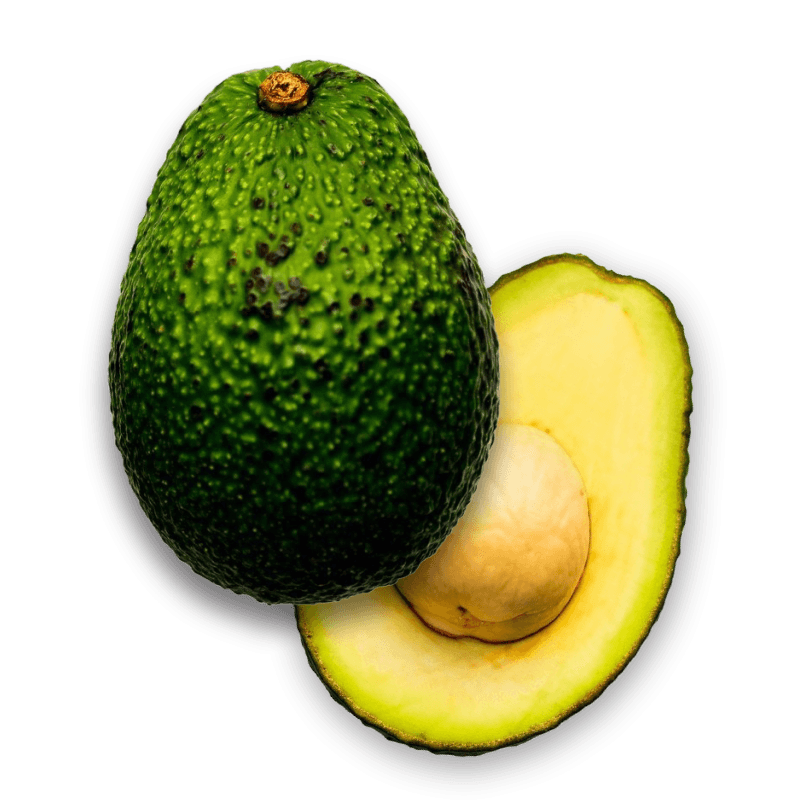 Hass Avocado exporting company from Colombia Andes Bounty