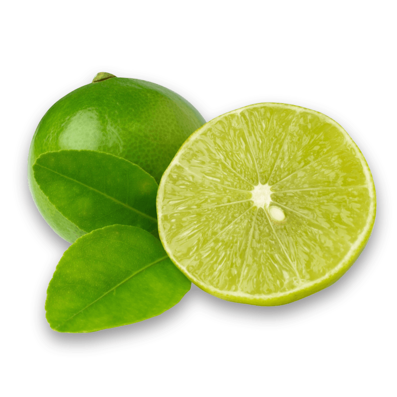 Lime exporting company from Colombia Andes Bounty